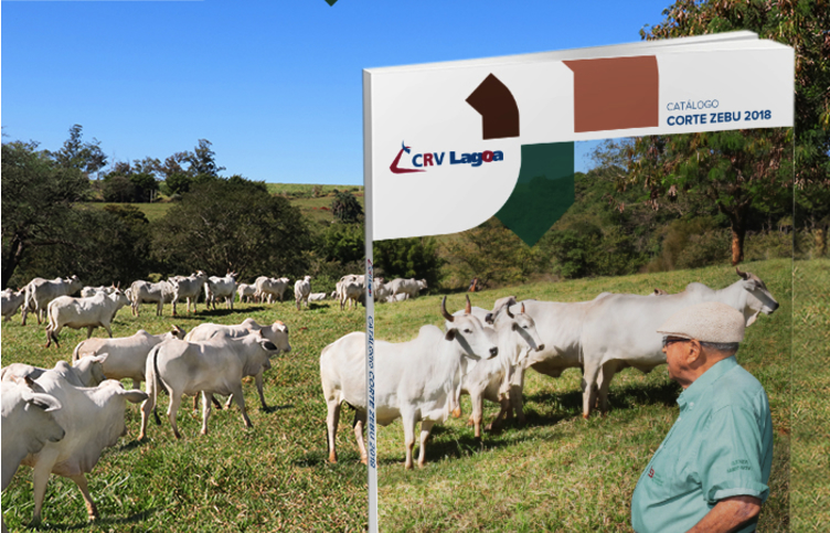 catalogo-zebu-corte-crv-lagoa