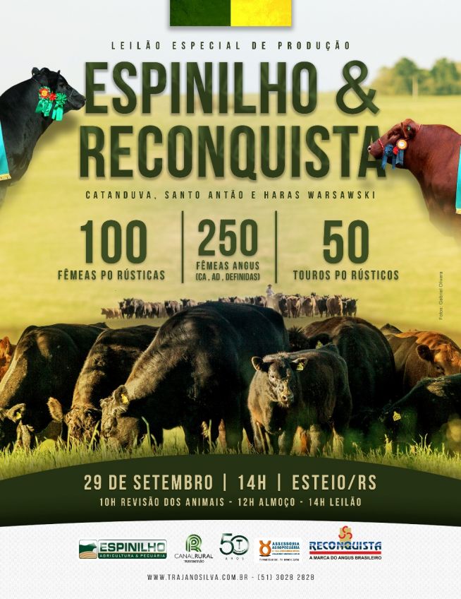 espinilho-e-reconquista-leilao-angus