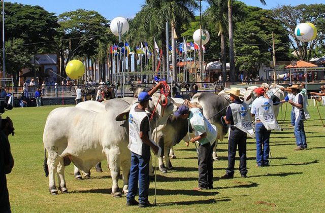 exposicao-brahman exposicao-brahman