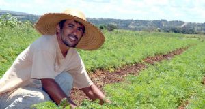 Mapa tem quase 20 mil entidades de agricultores cadastradas