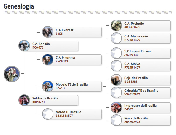 genealogia-do-gengiskhan