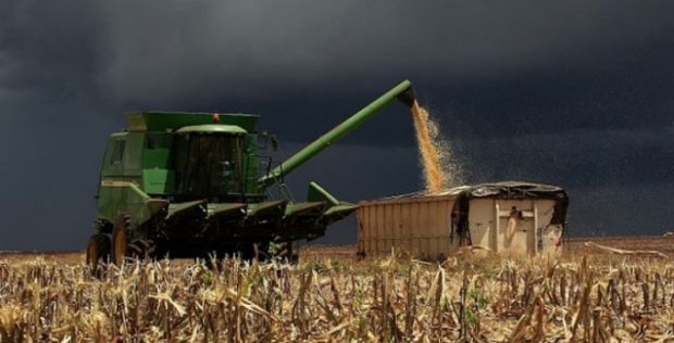 la niña impactos