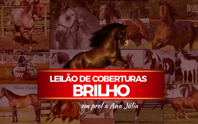 leilao-brilho-de-coberturas leilao-brilho-de-coberturas
