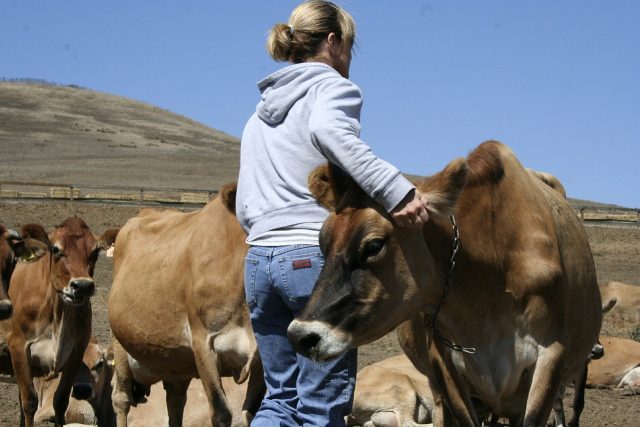 mulheres-no-agronegocio mulheres no agronegócio