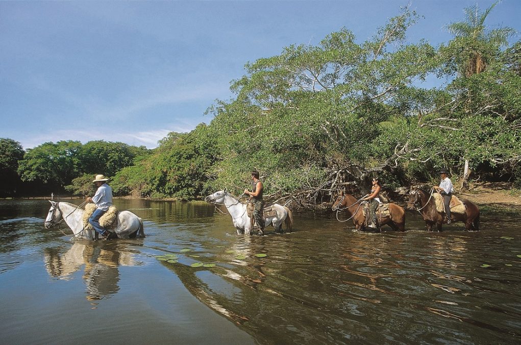 pantanal