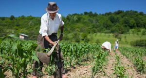 renegociação de dívidas de produtores