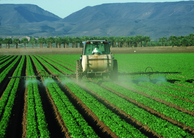 produção-agropecuária