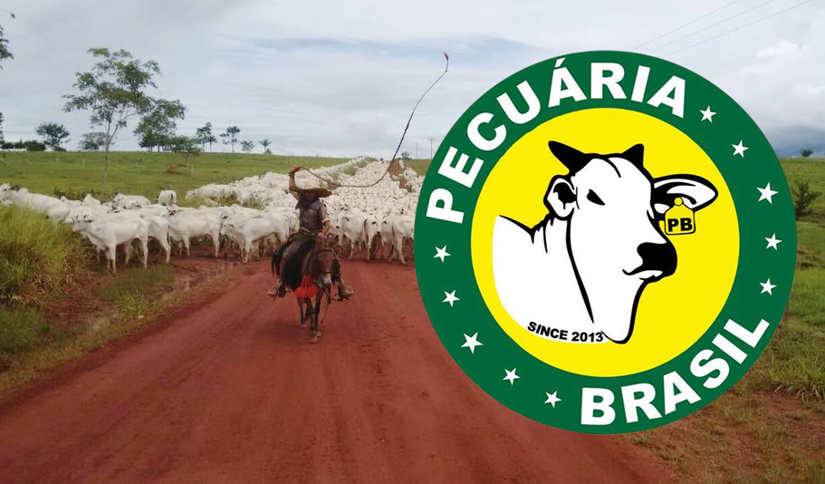 programa-terra-pecuaria-brasil