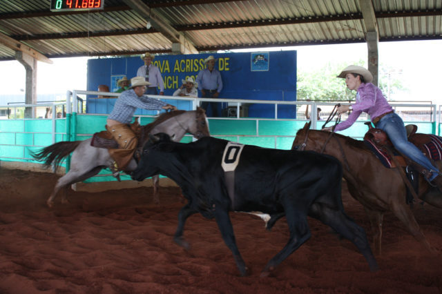 Abertura Abertura