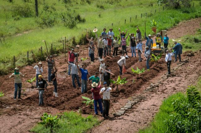 Curso-de-Agrofloresta-Sintropica-2 Curso-de-Agrofloresta-Sintropica