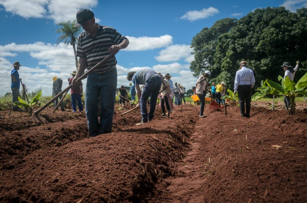 Curso-de-Agrofloresta-Sintropica