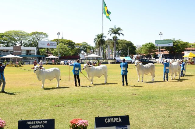 Expobrahman-2017-foto-Maria-Gabryella Expobrahman-2017-foto-Maria-Gabryella