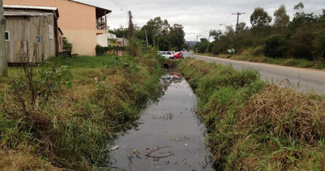 Pesquisadores-do-Brasil-e-da-Holanda-empregam-algas-unicelulares-para-tentar-resolver-o-problema-da-gestão-de-resíduos-oriundos-do-tratamento-de-esgoto-–-Foto-Wikimedia-Commons Pesquisadores-do-Brasil-e-da-Holanda-empregam-algas-unicelulares-para-tentar-resolver-o-problema-da-gestão-de-resíduos-oriundos-do-tratamento-de-esgoto-–-Foto-Wikimedia-Commons
