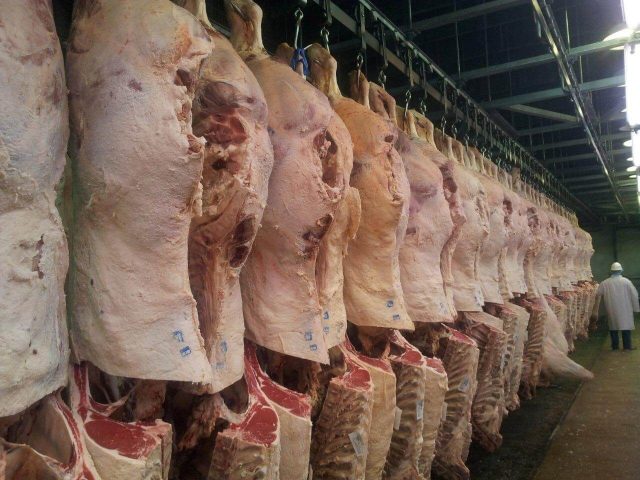 abate-frigorifico-carcacas abate-frigorifico-carcacas