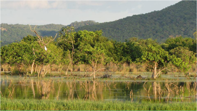 agropecuaria-jacarezinho agropecuaria-jacarezinho