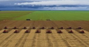 area-agricola