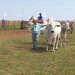 dia-de-campo-agua-tirada-12