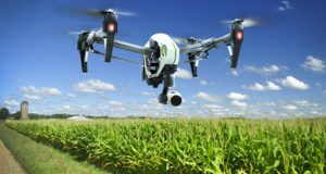 drone-agricultura-milho