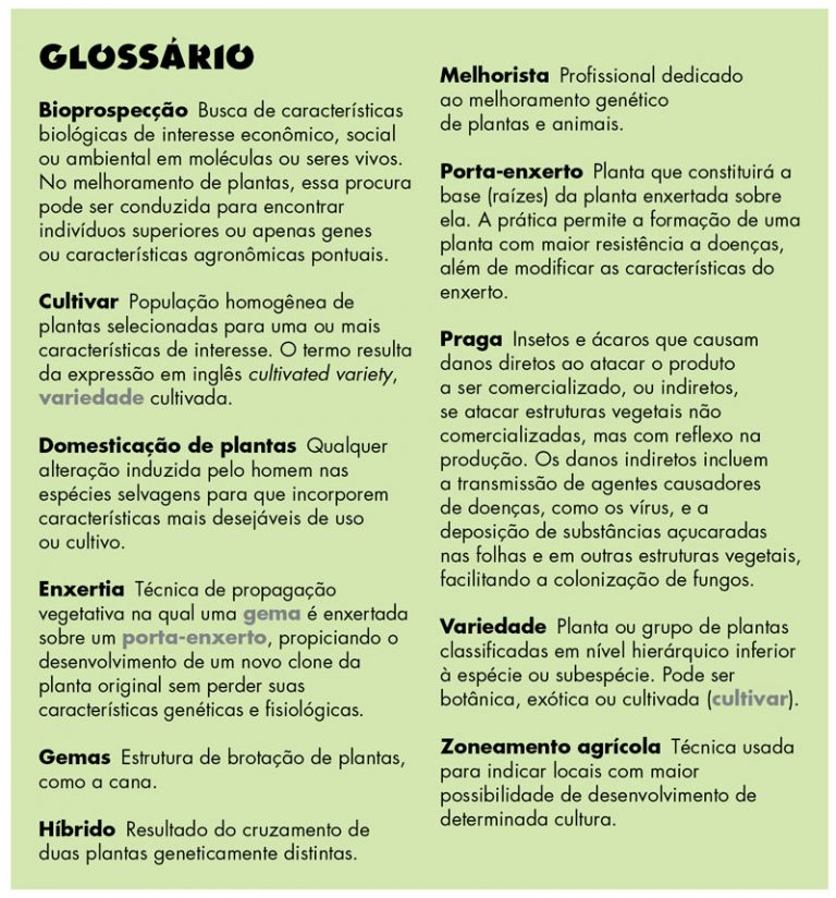 especial-iac_info-glossario-iac