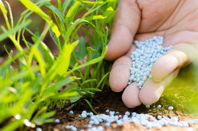 fertilizantes fertilizantes
