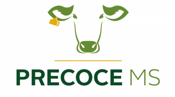 logo-novilho-precoce