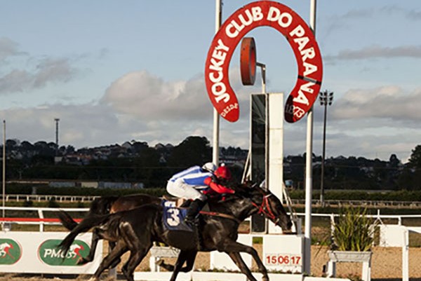 Jockey Club do Paraná, 15/06/2017 Hipódromo do Tarumã