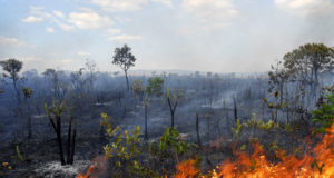 incêndio no pantanal