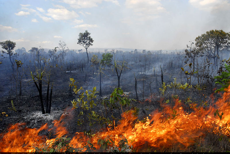 incêndio no pantanal