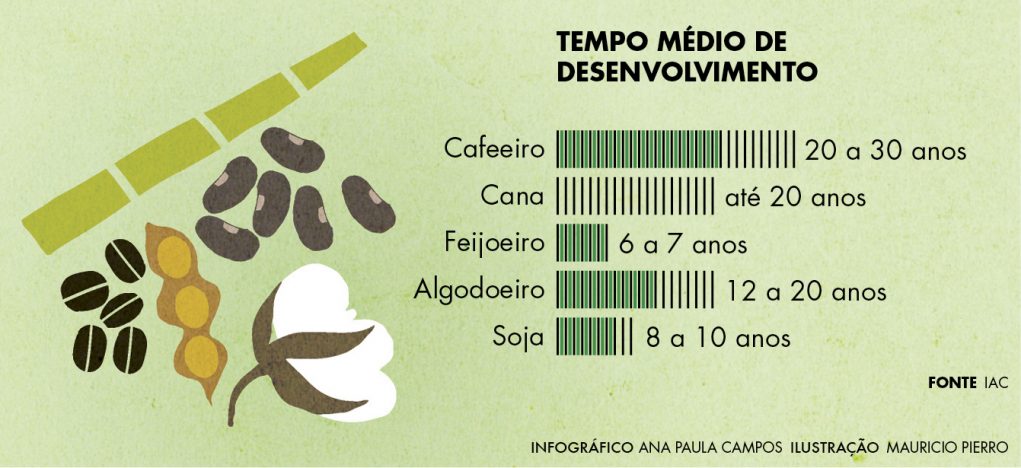 tempo-medio-desenvolvimento