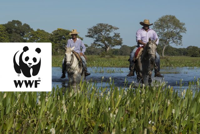 vaqueiros-no-pantanal-wwf vaqueiros-no-pantanal