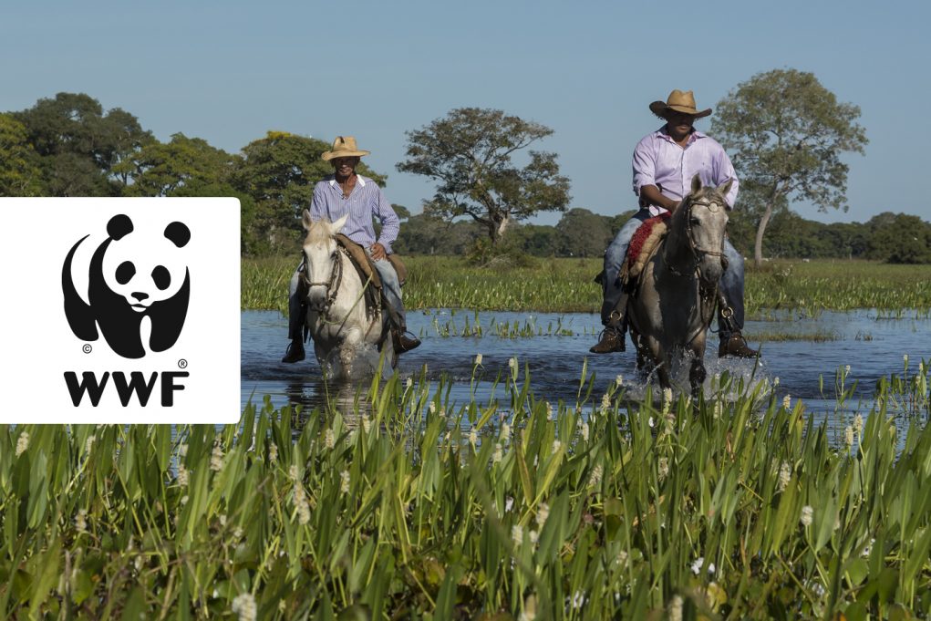 vaqueiros-no-pantanal