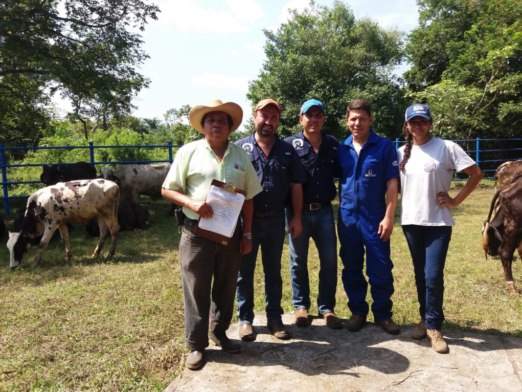 Registros-em-fazendas-da-Guatemala