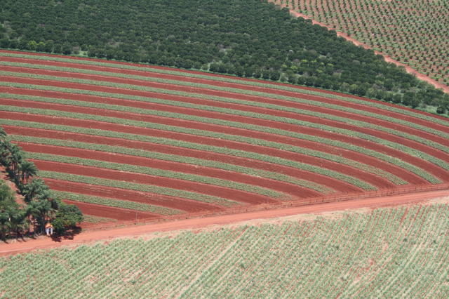 agricultura agricultura