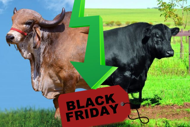 black-friday-abs-pecplan black-friday-abs-pecplan