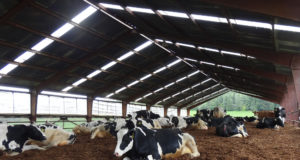 composting-barn-in-oregon