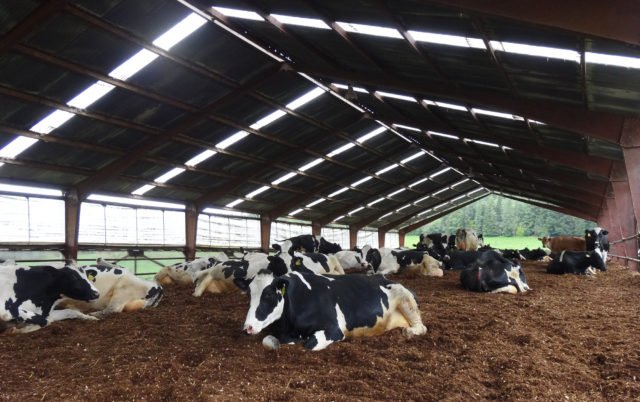 composting-barn-in-oregon composting-barn-in-oregon