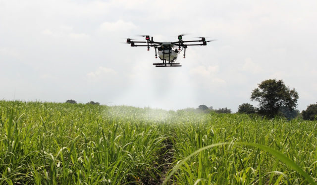 drone-cana-de-acucar drone-cana-de-acucar
