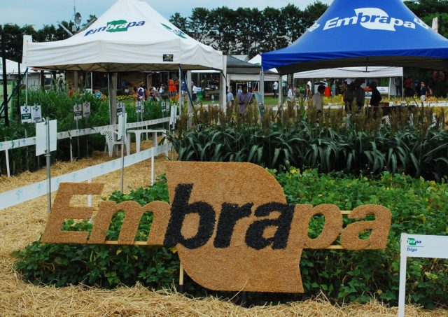 embrapa embrapa