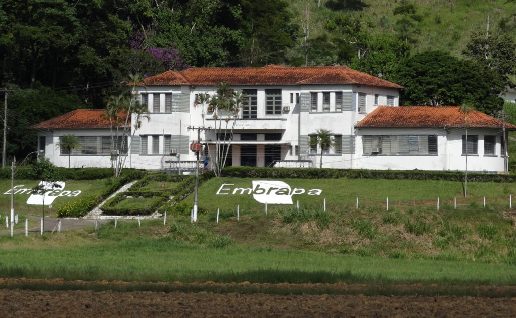 embrapa-gado-de-leite-minas-gerais