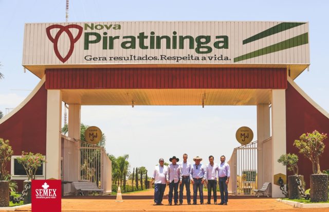 fazenda-nova-piratininga-goias fazenda-nova-piratininga-goias