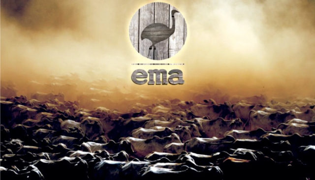 grupo-ema-pantanal