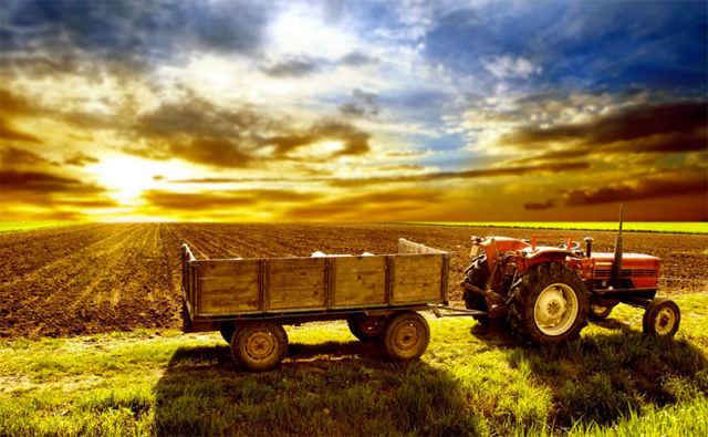 5DC8D Agro