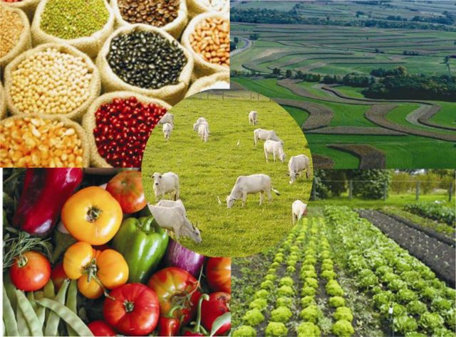 agro