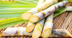 Cana-de-açúcar: conheça a terceira maior cultura do país e fonte de energia limpa Fonte: https://agro.estadao.com.br/inovacao/cana-de-acucar-conheca-a-terceira-maior-cultura-do-pais-e-fonte-de-energia-limpa