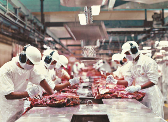 carne-exportação carne-exportação