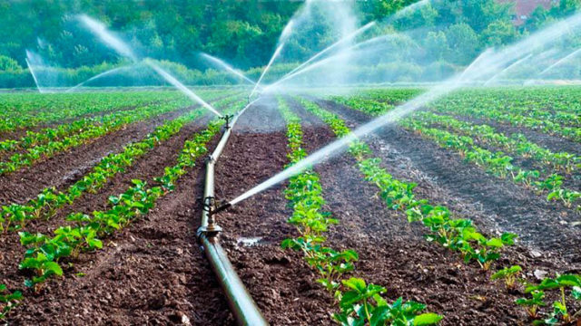expertos-agua agua agricultura