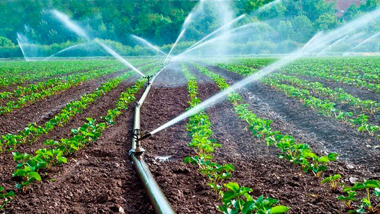 agua agricultura