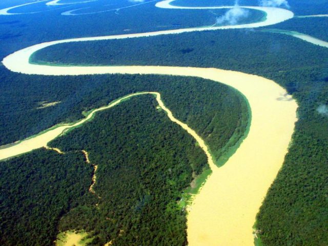 show_1 amazonia