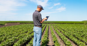 Engajamento com IA pode reduzir turnover no agro e varejo