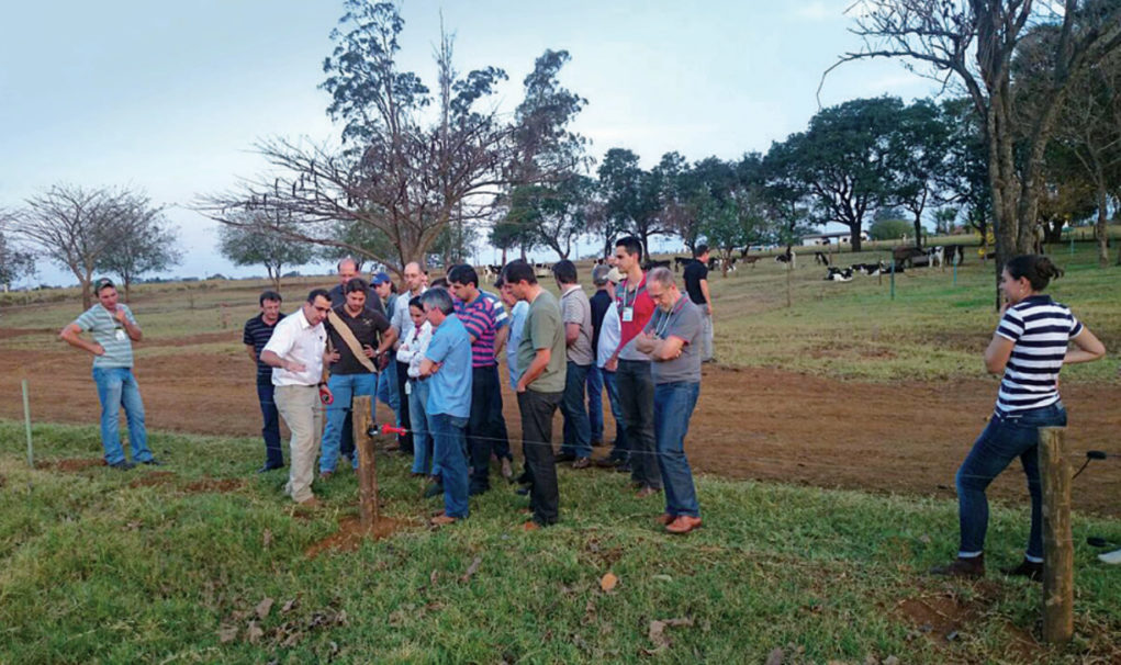 treinamento-ernesto-coeser